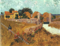 Vincent Van Gogh 008