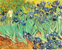 Vincent Van Gogh 017